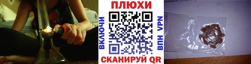 ГАШ Premium  Купить где  Сокол 