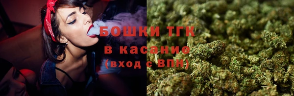дживик Горняк