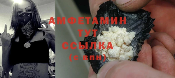 прущий лед Вяземский