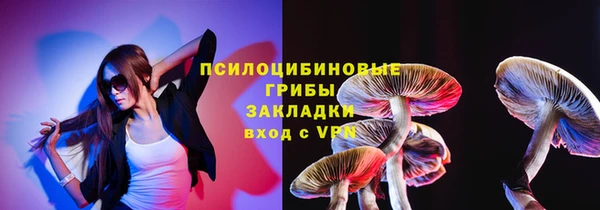 дживик Горняк