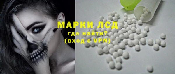 прущий лед Вяземский