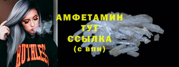 прущий лед Вяземский