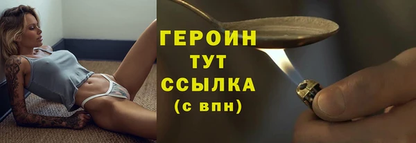 прущий лед Вяземский