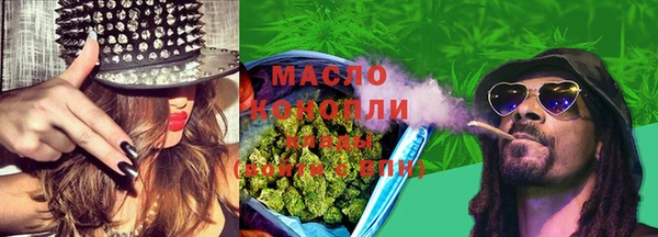 шишки Горно-Алтайск
