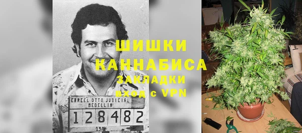 шишки Горно-Алтайск