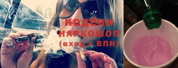 прущий лед Вяземский