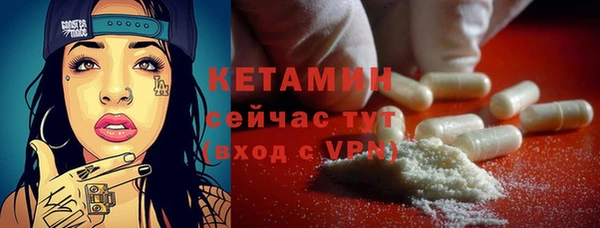 шишки Горно-Алтайск