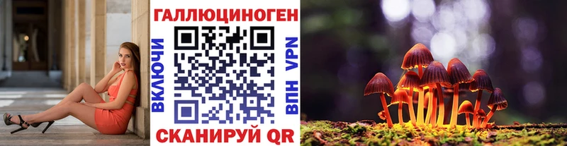 Купить  Сокол  Галлюциногенные грибы Cubensis 